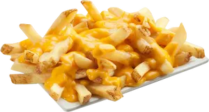 Fries with Melted Cheese